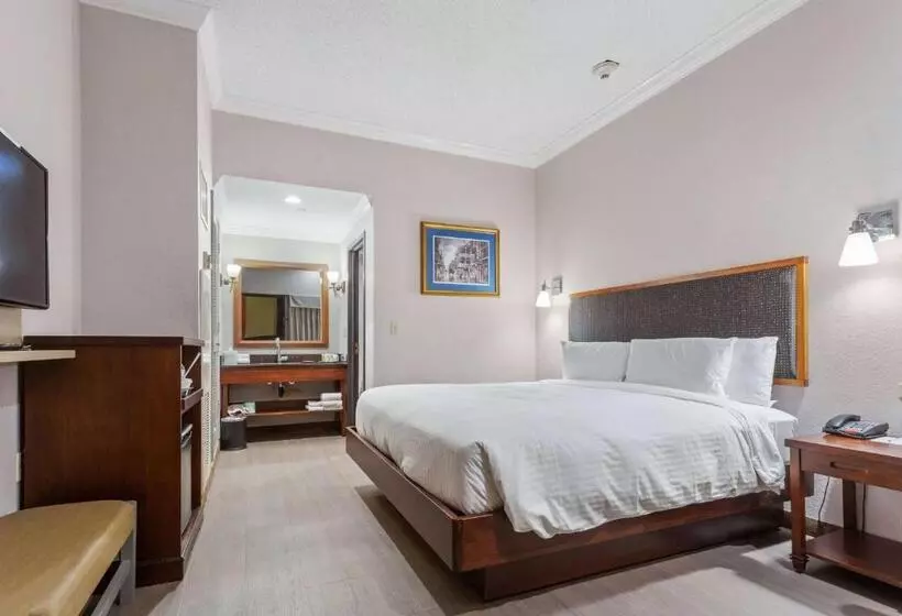 اتاق استاندارد با تخت بزرگ برای معلولان, Wyndham Garden Baronne Plaza