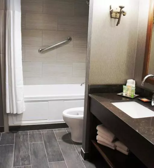 سوئیت با تخت بزرگ, Wyndham Garden Baronne Plaza
