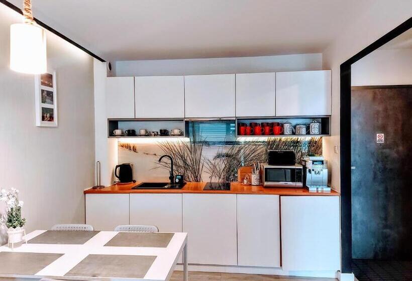 Апартаменты Superior 1 Спальня, Apartamenty Sun & Snow Sanatoryjna