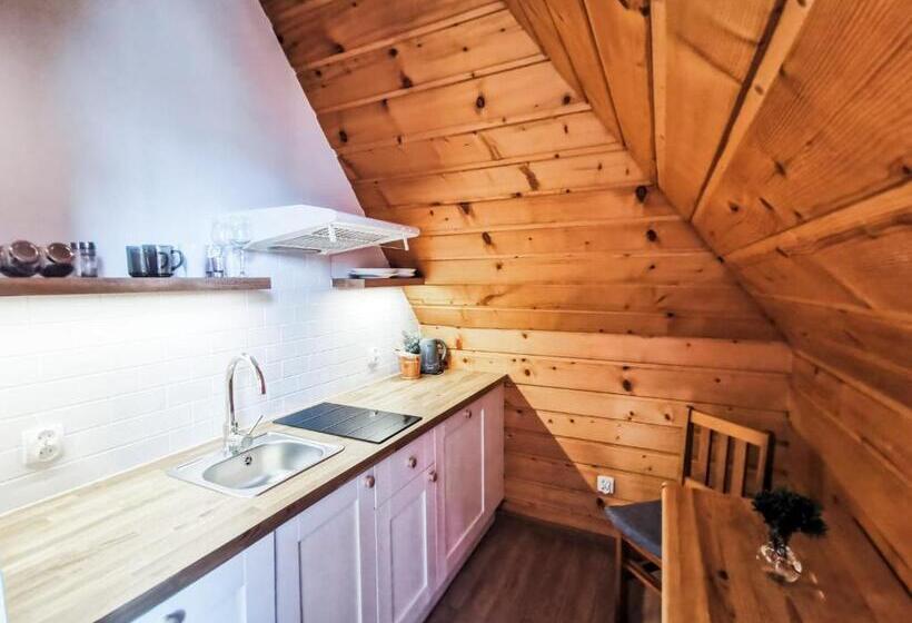 استودیوی استاندارد, Zakopane Stop