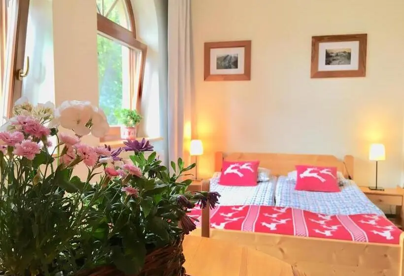 マウンテンビューのワンルーム, Zakopane Stop