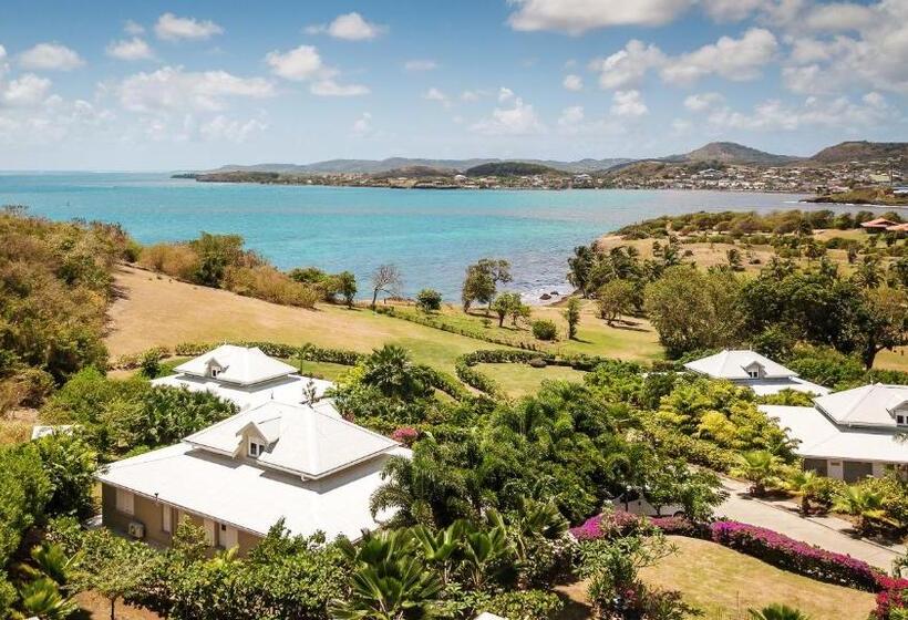 ویلای یک اتاق خوابه با استخر شنا, Villas Palm