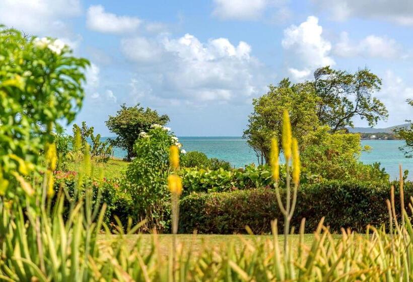 ویلای یک اتاق خوابه با استخر شنا, Villas Palm