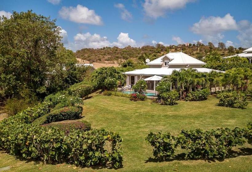 ویلای 1 خوابه, Villas Palm