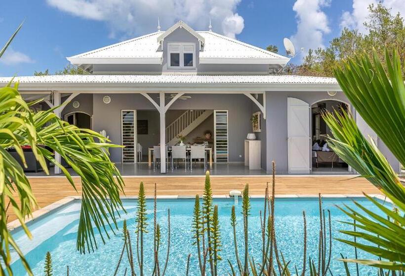 ویلای یک اتاق خوابه با استخر شنا, Villas Palm