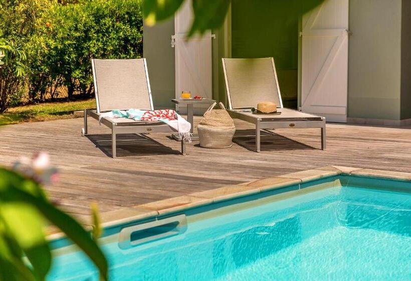 ویلای یک اتاق خوابه با استخر شنا, Villas Palm