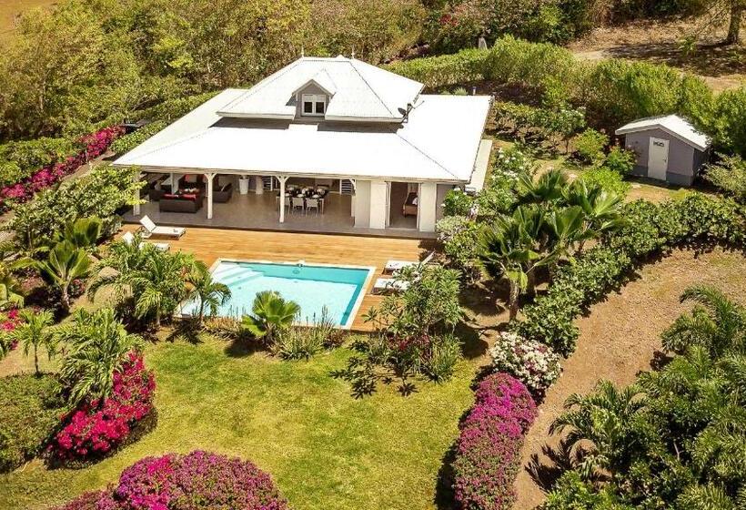 ویلای یک اتاق خوابه با استخر شنا, Villas Palm