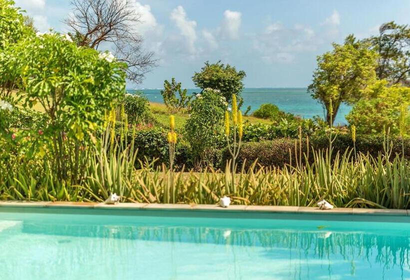 ویلای 1 خوابه, Villas Palm