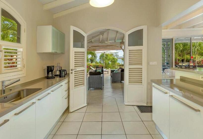 ویلای 1 خوابه, Villas Palm