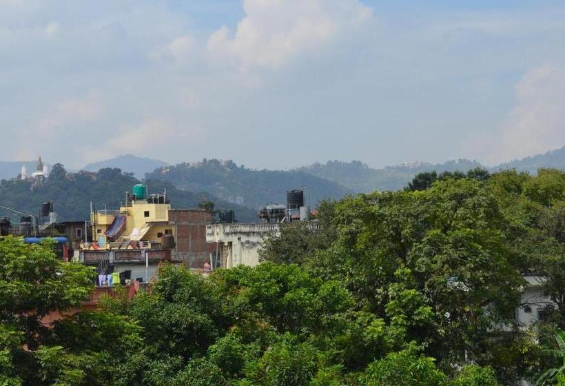 اتاق استاندارد, Newa Home