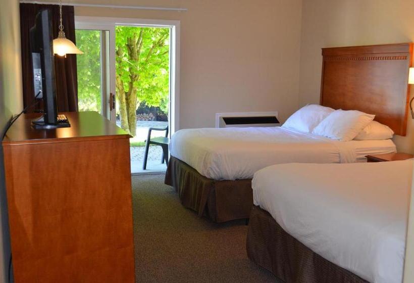 Standard Szoba, The Robin S Nest Tobermory