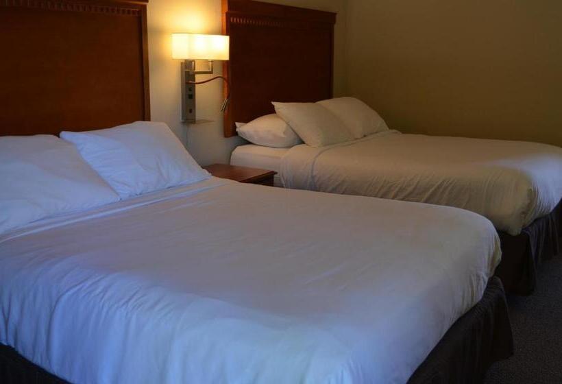 Standard Szoba, The Robin S Nest Tobermory