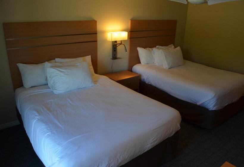 Deluxe Szoba, The Robin S Nest Tobermory