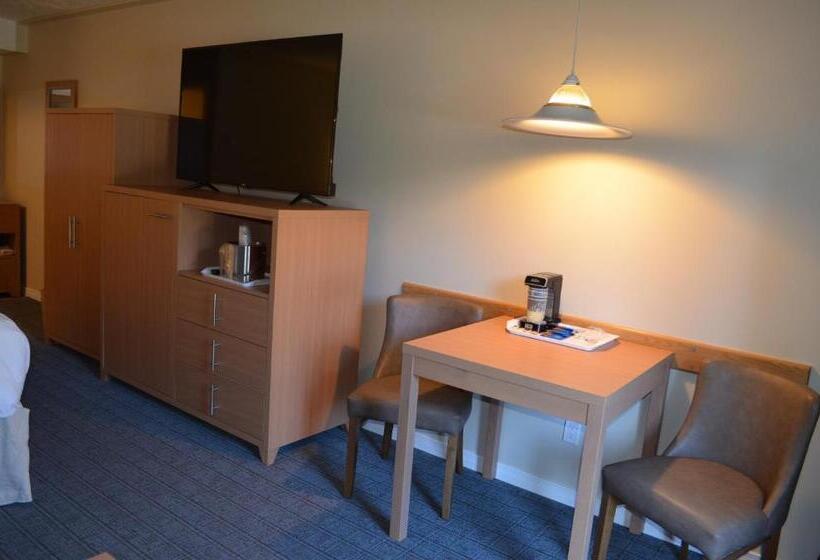 Deluxe Szoba, The Robin S Nest Tobermory