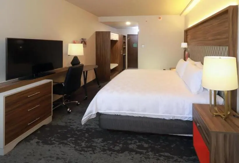 اتاق لوکس با تخت بزرگ, Holiday Inn & Suites   Monterrey Apodaca Zona Airport, An Ihg