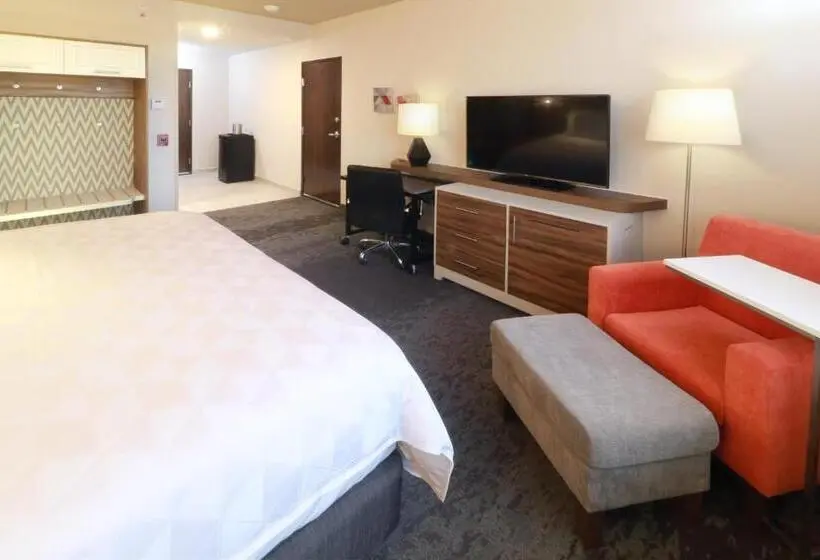 اتاق لوکس با تخت بزرگ, Holiday Inn & Suites   Monterrey Apodaca Zona Airport, An Ihg