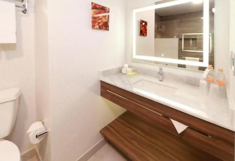 اتاق لوکس, Holiday Inn & Suites   Monterrey Apodaca Zona Airport, An Ihg