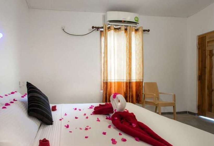 اتاق خانوادگی, The Surf Access Guest House