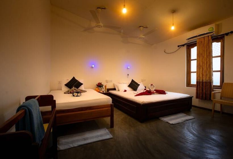 اتاق خانوادگی, The Surf Access Guest House