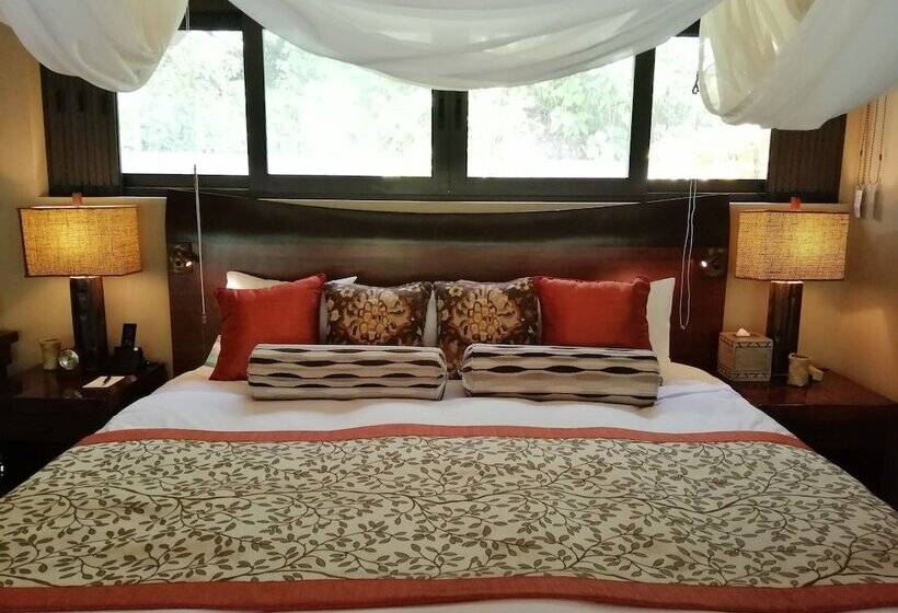 ویلای 1 خوابه, The Pristine Villas And Bungalows At Palau Pacific Resort