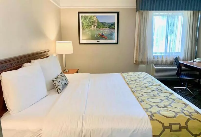 Standard-huone King-vuode, Baymont By Wyndham Texarkana
