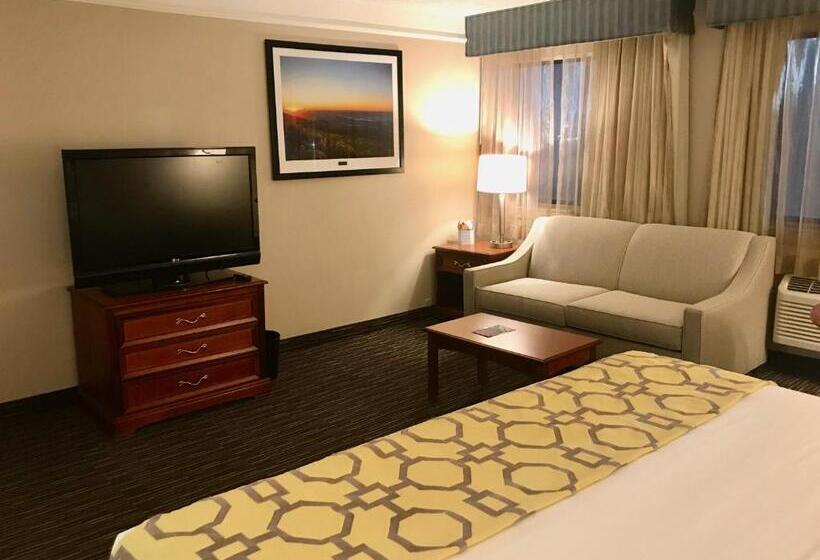 جناح سرير كينج, Baymont By Wyndham Texarkana