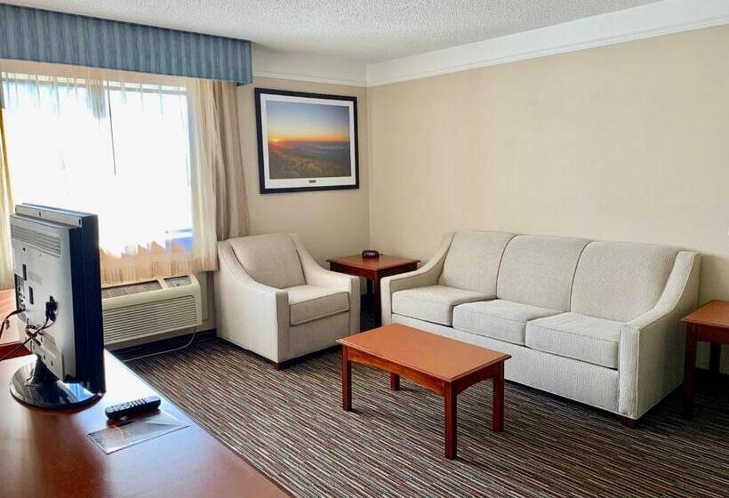 جناح سرير كينج, Baymont By Wyndham Texarkana