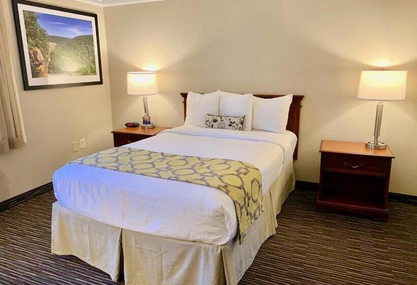 غرفة قياسية لذوى الاحتياجات الخاصة, Baymont By Wyndham Texarkana