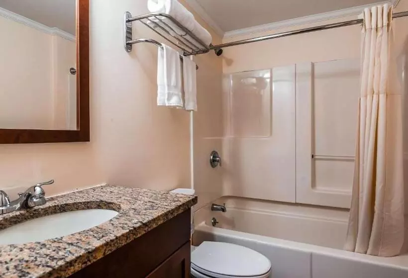 اتاق استاندارد با تخت بزرگ, Best Western Adams Inn Quincy Boston