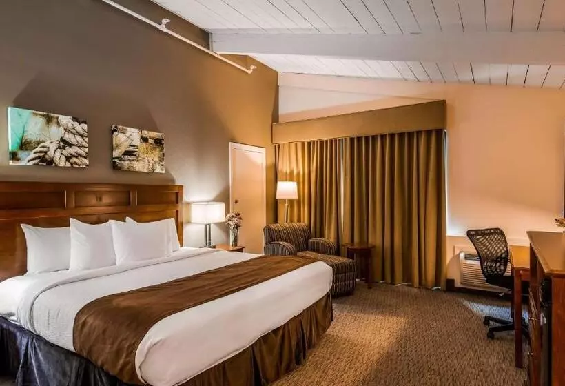 اتاق استاندارد با تخت بزرگ, Best Western Adams Inn Quincy Boston