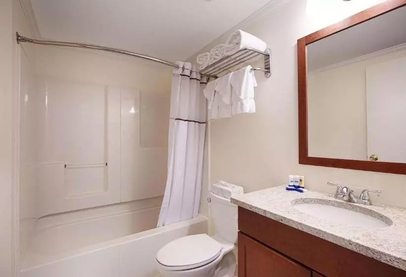 اتاق استاندارد با چشمانداز, Best Western Adams Inn Quincy Boston