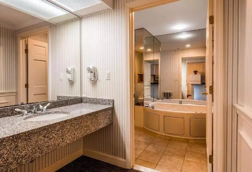 سوئیت با وان آب گرم, Best Western Adams Inn Quincy Boston