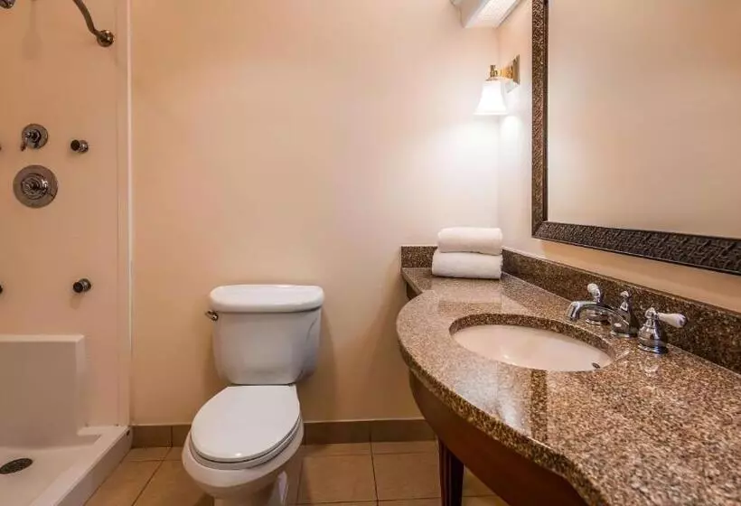 اتاق استاندارد برای معلولان, Best Western Adams Inn Quincy Boston