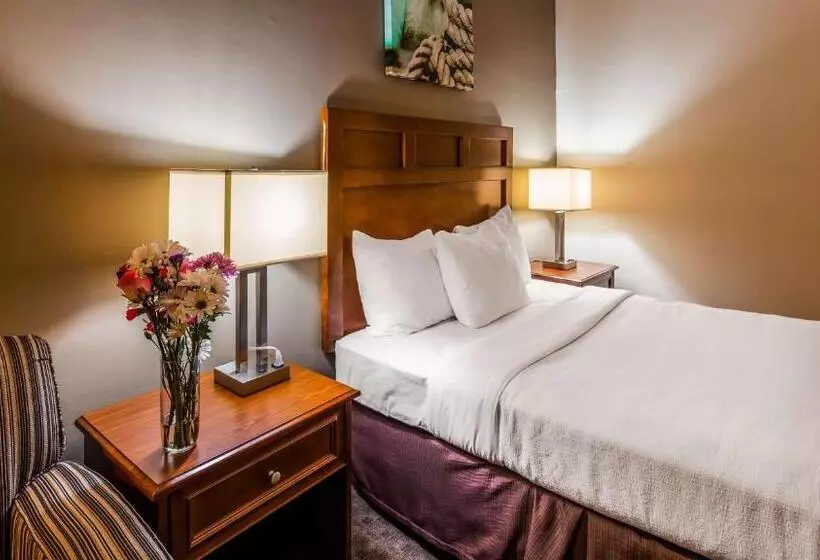 اتاق عادی, Best Western Adams Inn Quincy Boston