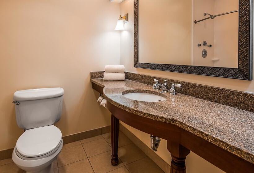 סוויטה עם ג'קוזי, Best Western Adams Inn Quincy Boston