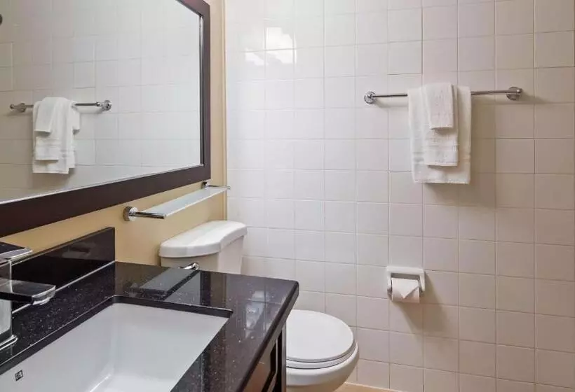 身障者適用キングサイズベッドルーム, Best Western Atlantic City Beach Block