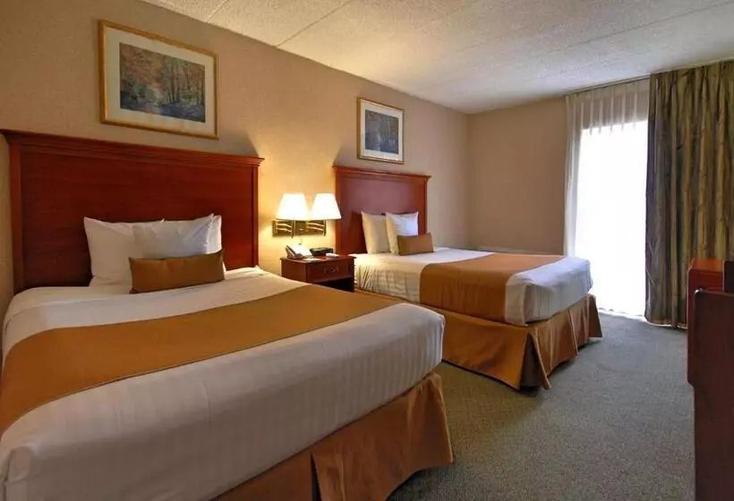 スタンダードルーム, Best Western Capital Beltway Washington Dc