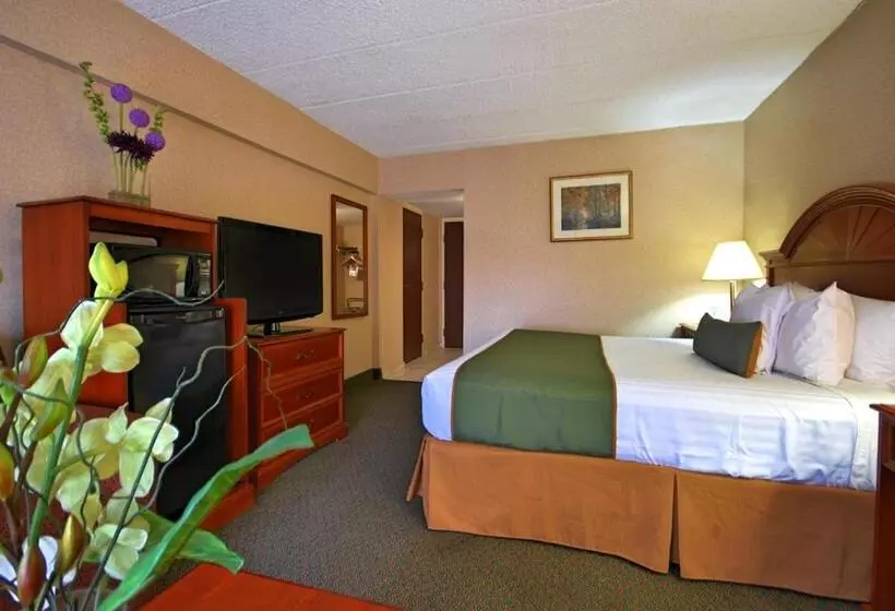 キングサイズベッドのスタンダードルーム, Best Western Capital Beltway Washington Dc