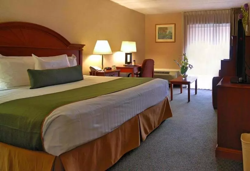キングサイズベッドのスタンダードルーム, Best Western Capital Beltway Washington Dc