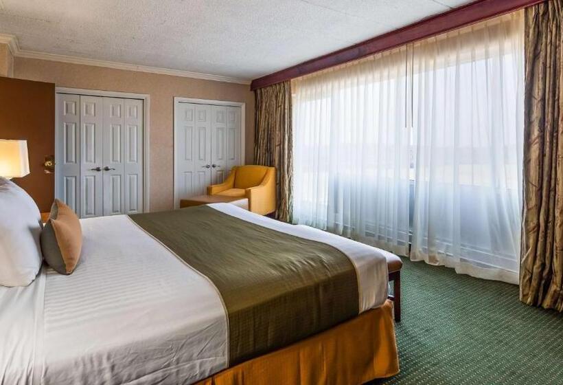 غرفة دور أخير, Best Western Capital Beltway Washington Dc
