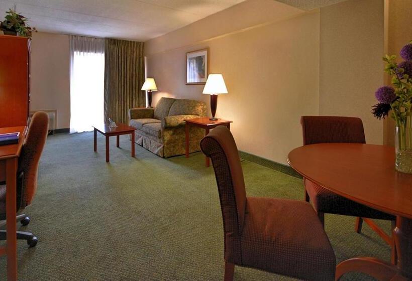جناح سرير كينج, Best Western Capital Beltway Washington Dc