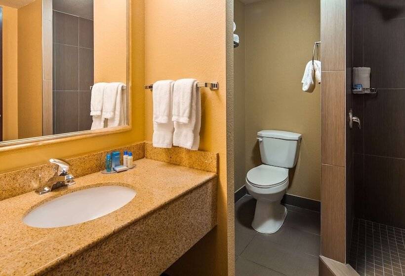 Номер Стандарт Двуспальная Кровать, Best Western Plus Atlanta Airporteast