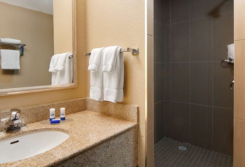 Номер Стандарт Двуспальная Кровать, Best Western Plus Atlanta Airporteast