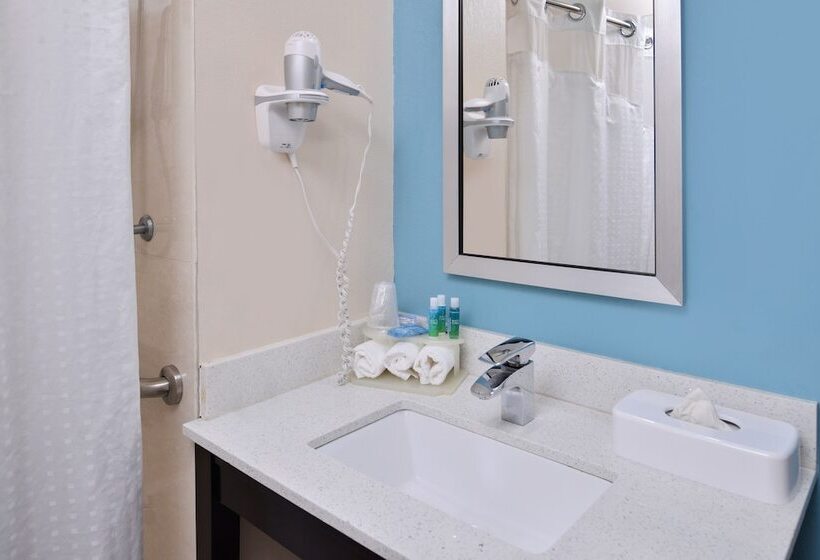 جناح لذوى الاحتياجات الخاصة, Holiday Inn Express Montgomery East I 85, An Ihg