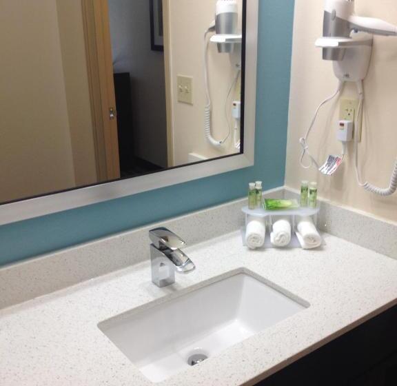 غرفة قياسية لذوى الاحتياجات الخاصة, Holiday Inn Express Montgomery East I 85, An Ihg