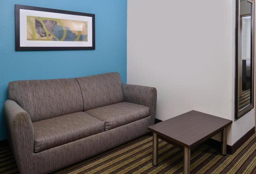 سوئیت با تخت بزرگ, Holiday Inn Express Montgomery East I 85, An Ihg