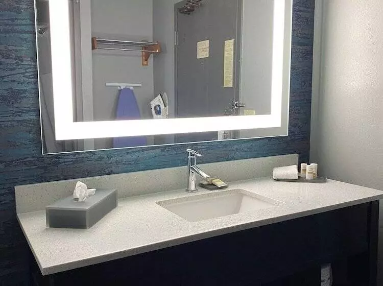 デラックスルーム, La Quinta Inn By Wyndham Wausau