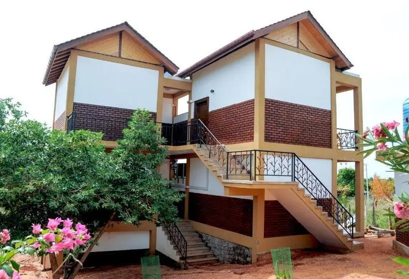 Basic Kolmen Hengen Huone, Woodycrest