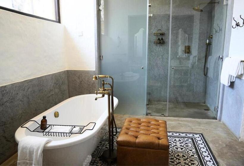 اتاق لوکس با چشمانداز, Mbano Manor Hotel Victoria Falls By Mantis