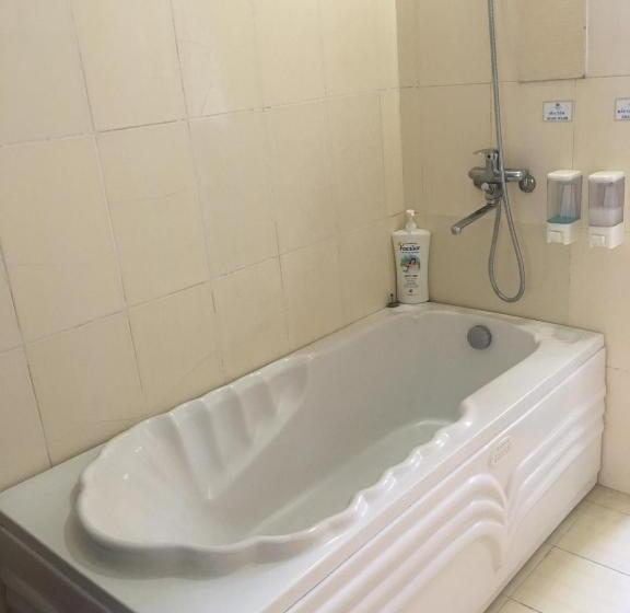 اتاق استاندارد, Thien Anh